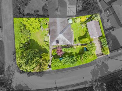 Picture 31